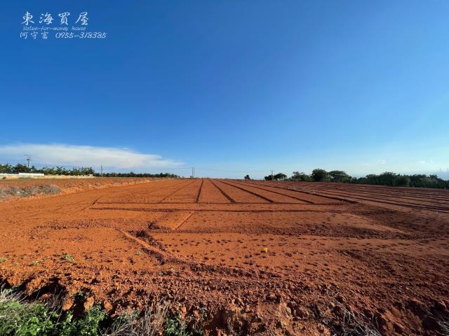 台中沙鹿山坡地-1