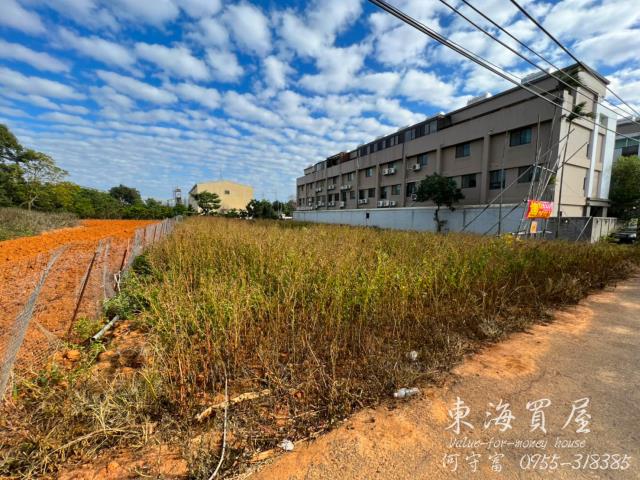大雅農地-9