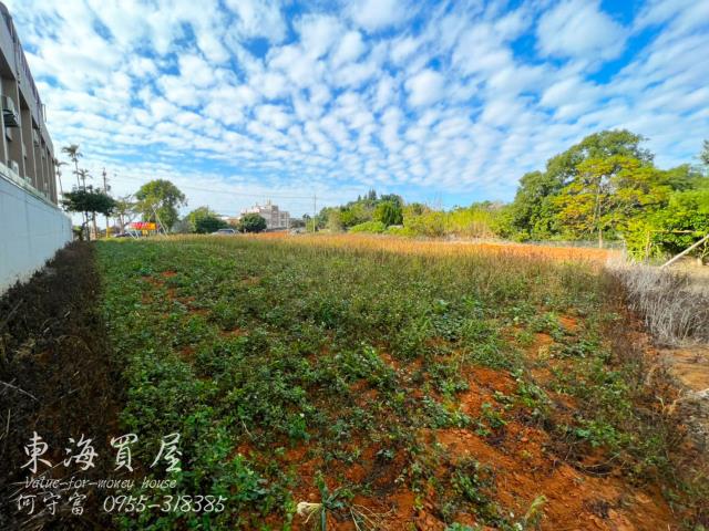 大雅農地-7