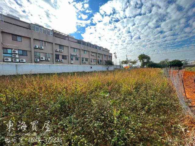 大雅農地-8