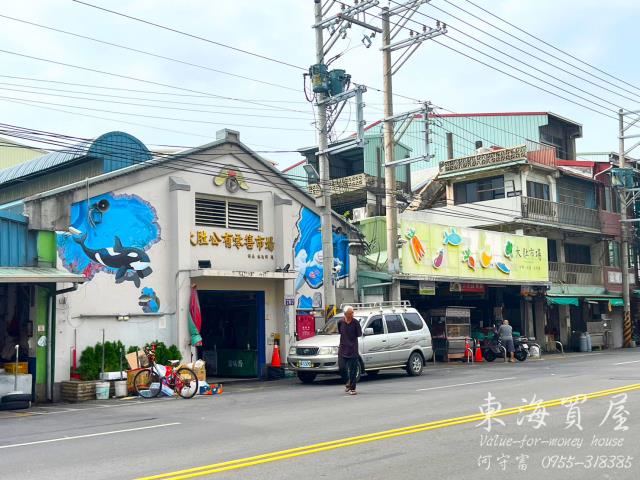 台中大肚建地-1