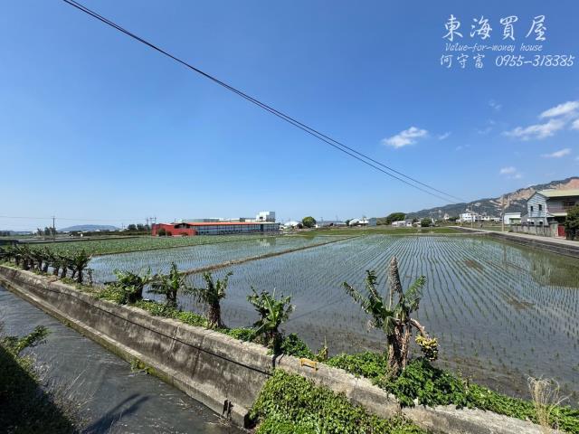 台中農地-9