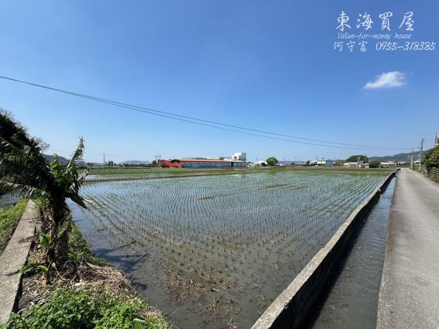 台中農地-10