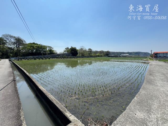 台中農地-12