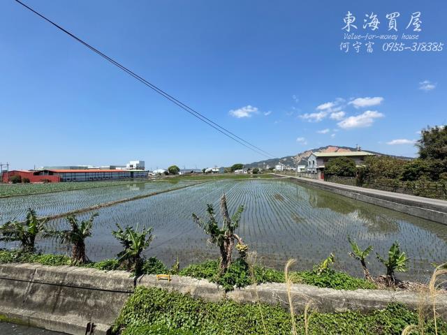 台中農地-8