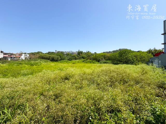 大肚工業地-5