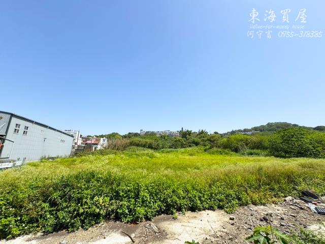大肚工業地-6