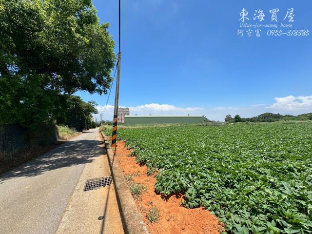 台中南屯農地-6