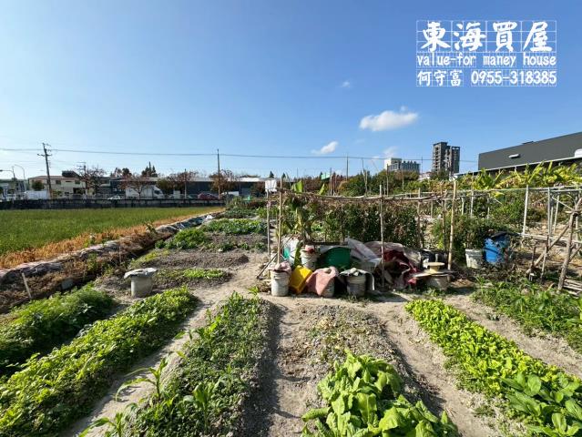 台中西屯農地-0