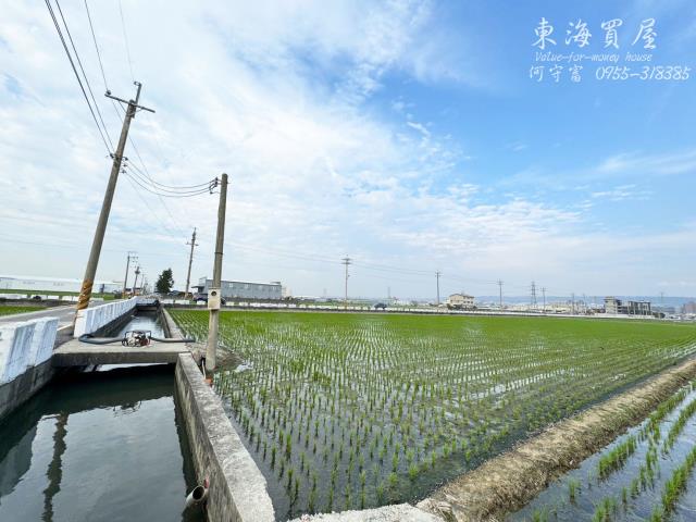 龍井農地-11