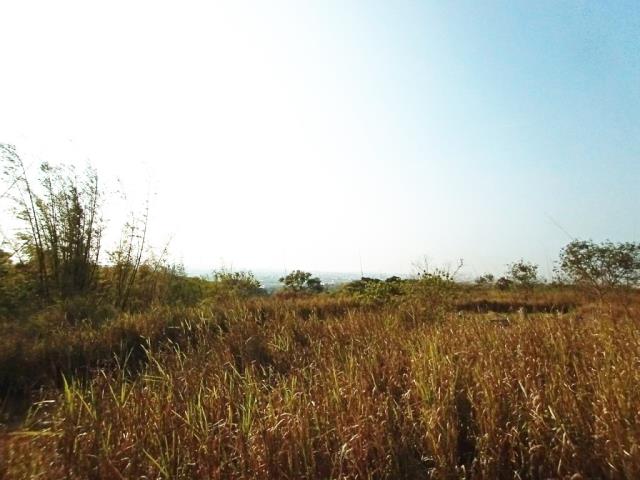 龍井保護區-5