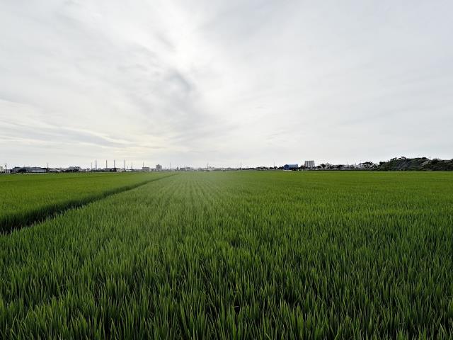 台中龍井農地-1