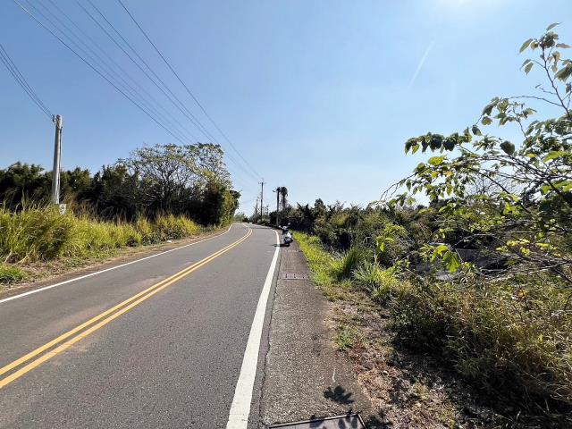 龍井農地-1