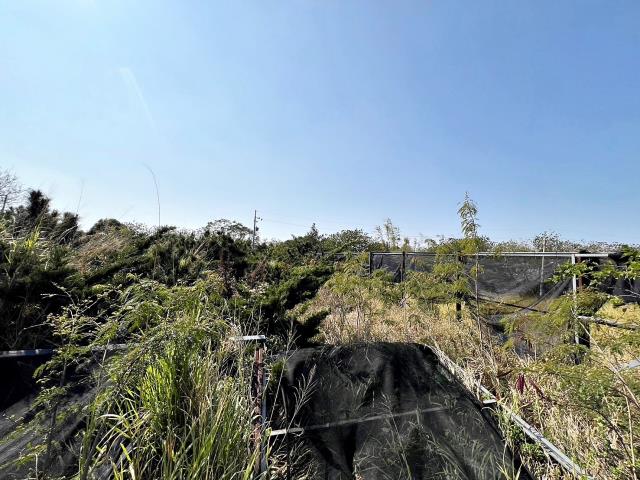 龍井農地-4