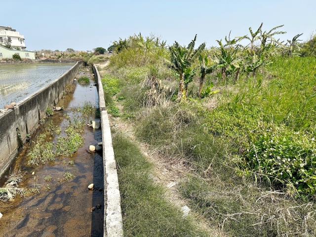 清水農地-5