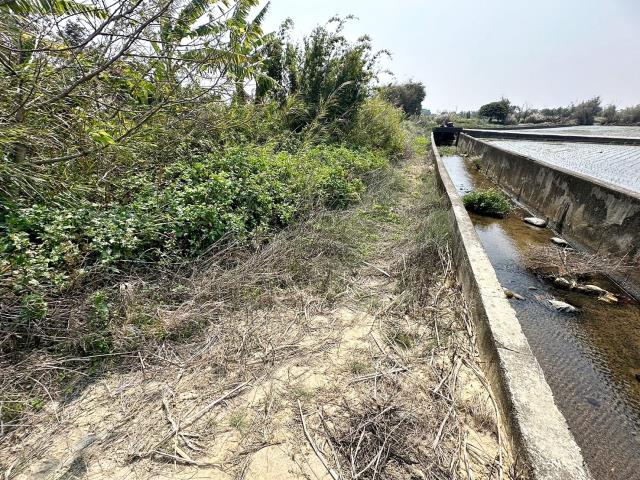 清水農地-6