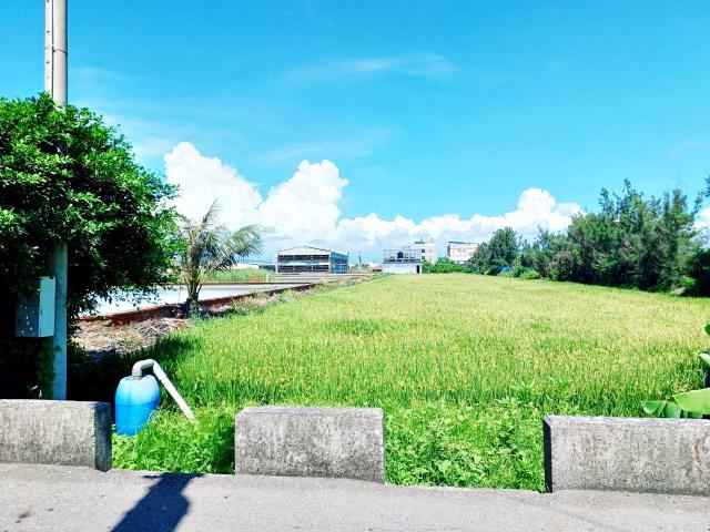 線西農地-1