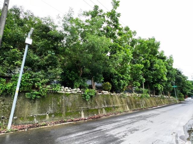 豐原農地-0