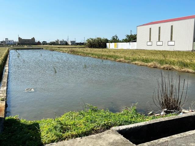 大甲農地-2