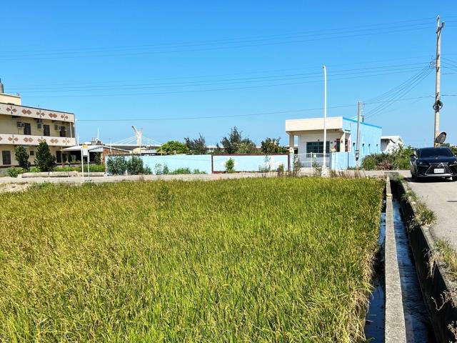 大甲農地-3