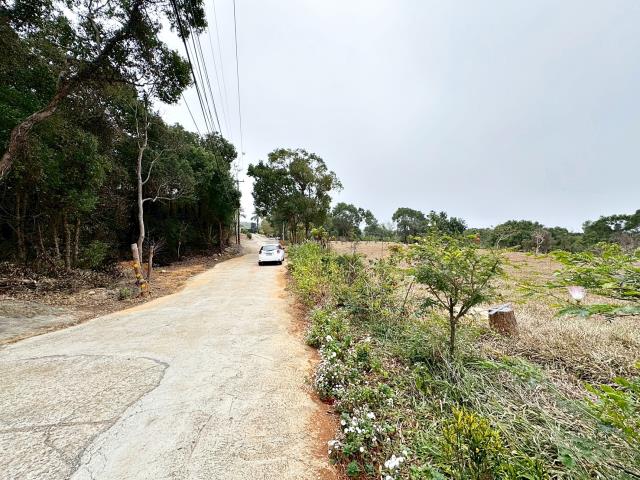 沙鹿農地-2
