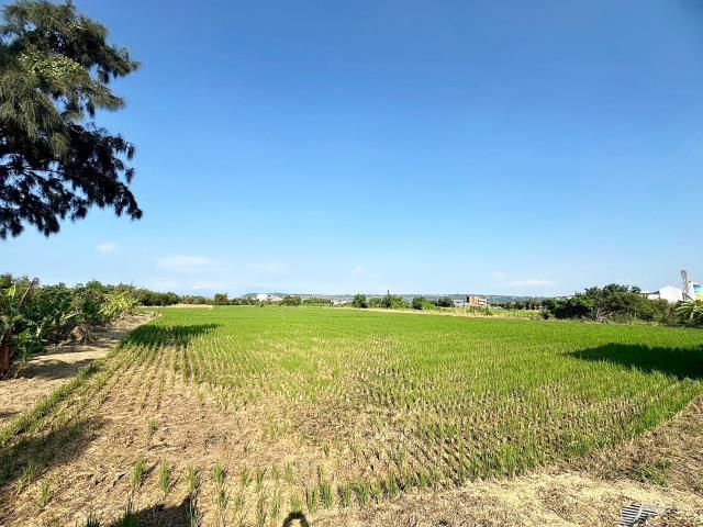 台中農地-1