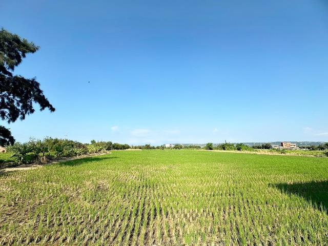 台中農地-2