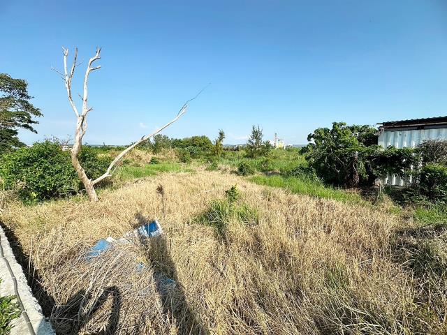 台中農地-1