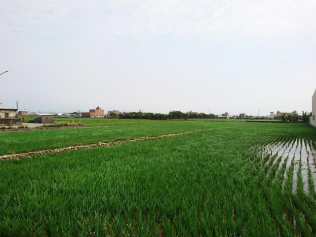 台中大甲農地-2