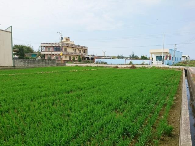 台中大甲農地-4
