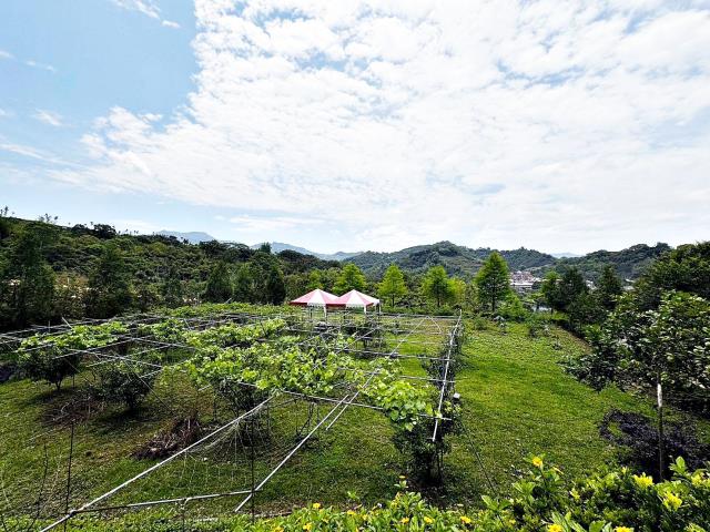 台中東勢農地-1