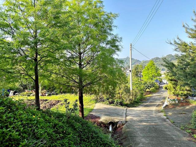 台中東勢農地-8