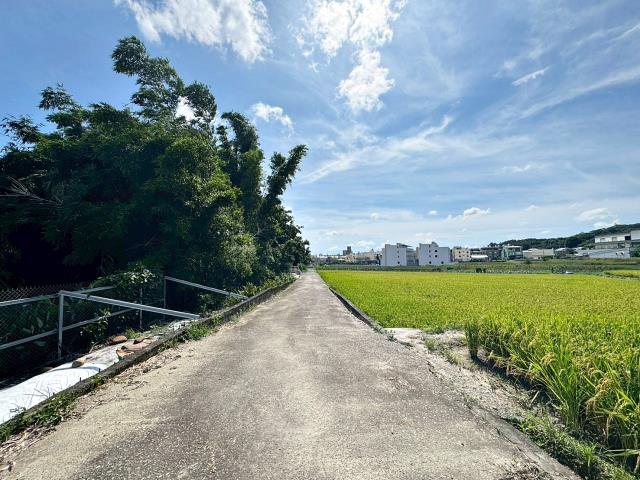 台中大肚農地-0