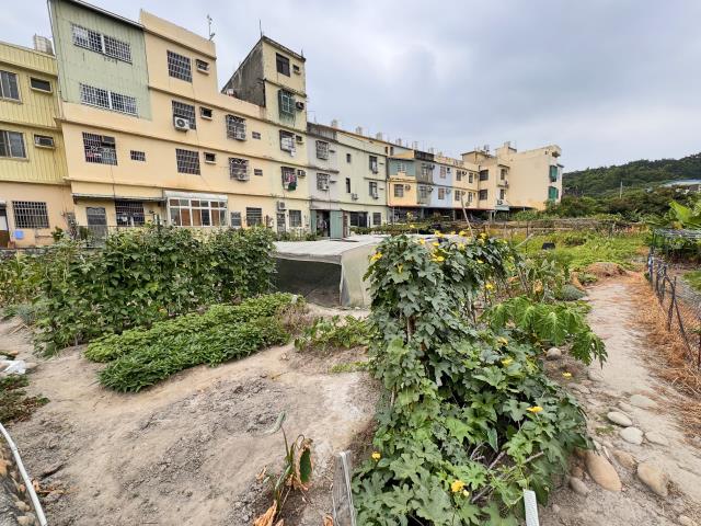 台中龍井建地-2