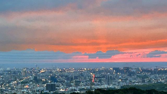 台中沙鹿保護區-9