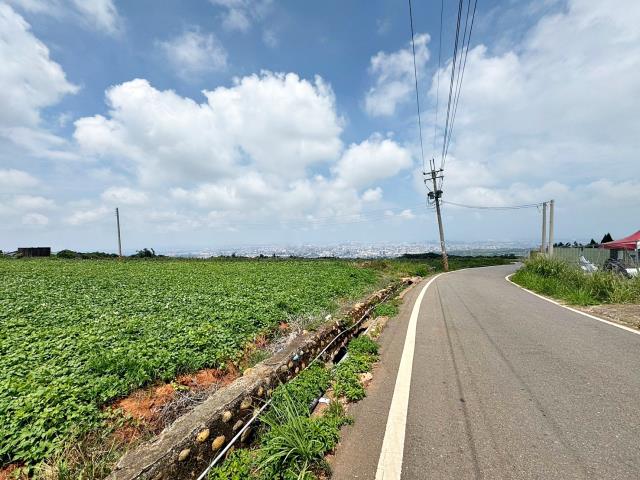台中沙鹿保護區-3