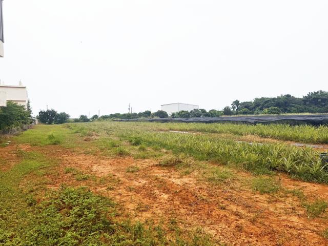 台中沙鹿農地-1
